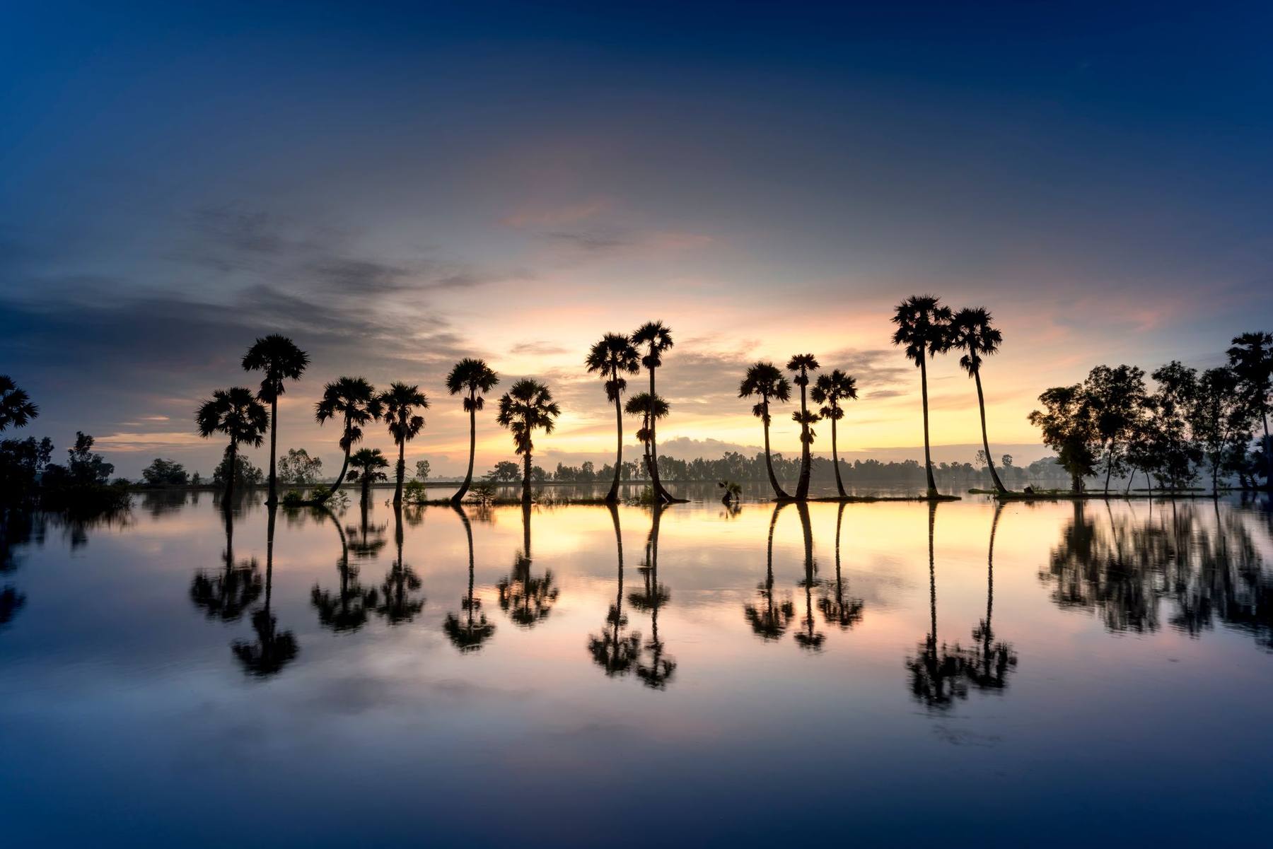 Palm trees silhouetted against an orange sunset over a Florida lake